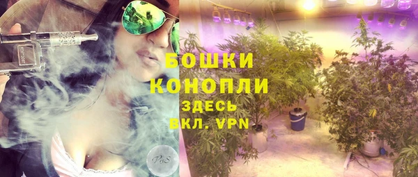 шишки Арсеньев