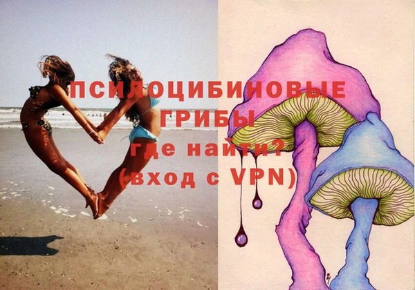 PSILOCYBIN Баксан