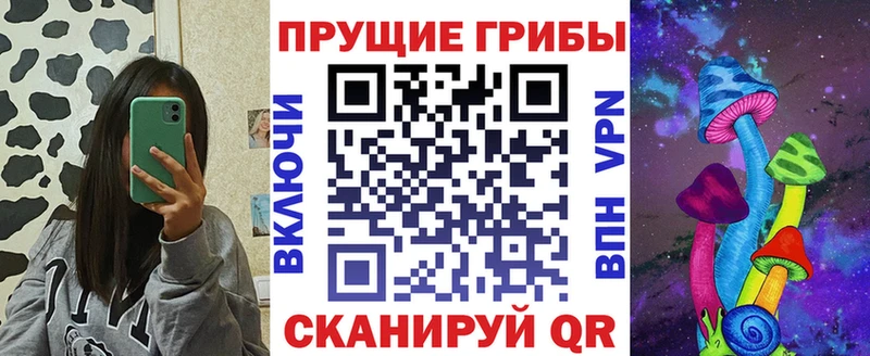 Галлюциногенные грибы ЛСД  Купить закладки  Наволоки 