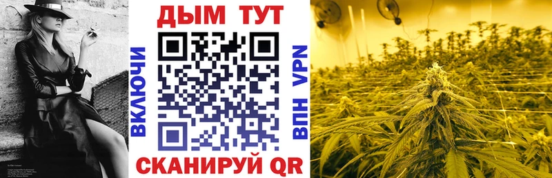 Канабис марихуана  Купить где  Наволоки 